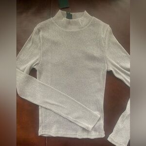 Silver Long Sleeve sheer Top.  Xsmall wild fable brand.  New with tags